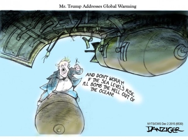 danzcolorplus6530-668x501